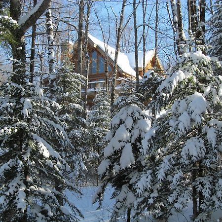 Blueberry Lake Resort Labelle Bagian luar foto