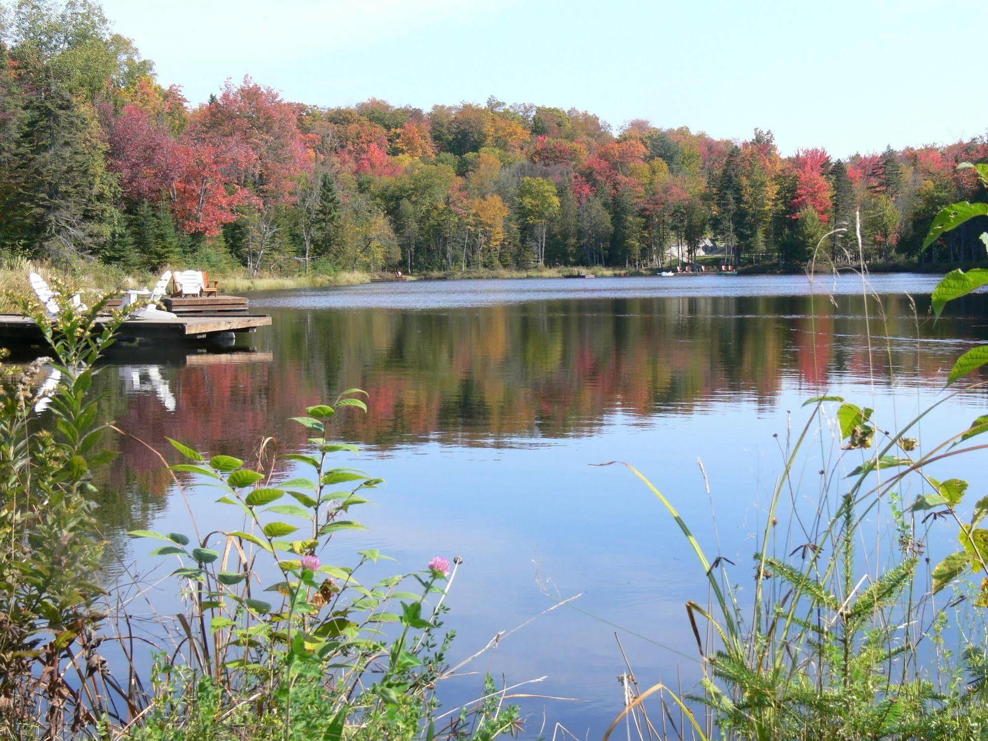 Blueberry Lake Resort Labelle Bagian luar foto