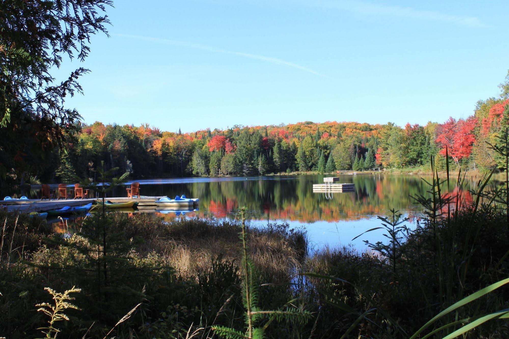 Blueberry Lake Resort Labelle Bagian luar foto